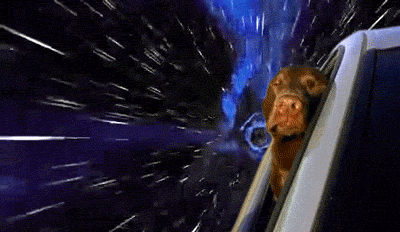 warp speed dog gif