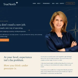 Ilse Noppen true north consulting website